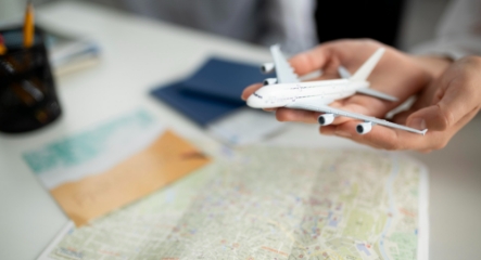 Airlines & Car Rental Services